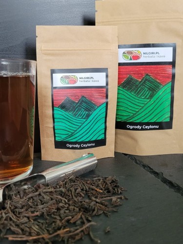 Zdjęcie WhatsApp 2023-07-26 o 12.01.451.jpg